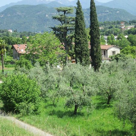 Agriturismo Bonu Gabriele Сало Экстерьер фото